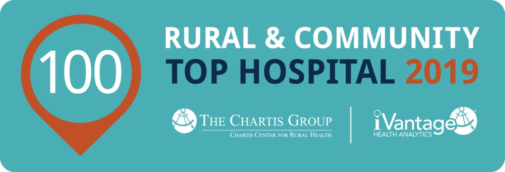 Top 100 Hospital Logo